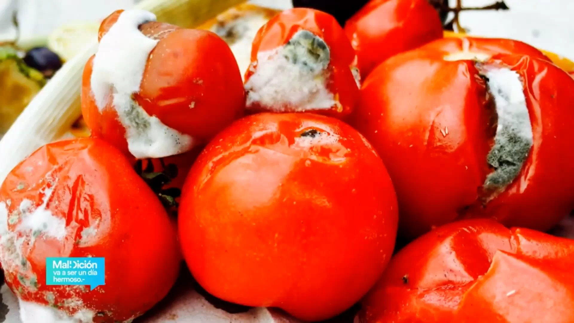 No tires los tomates dañados: sácales provecho y ahorra