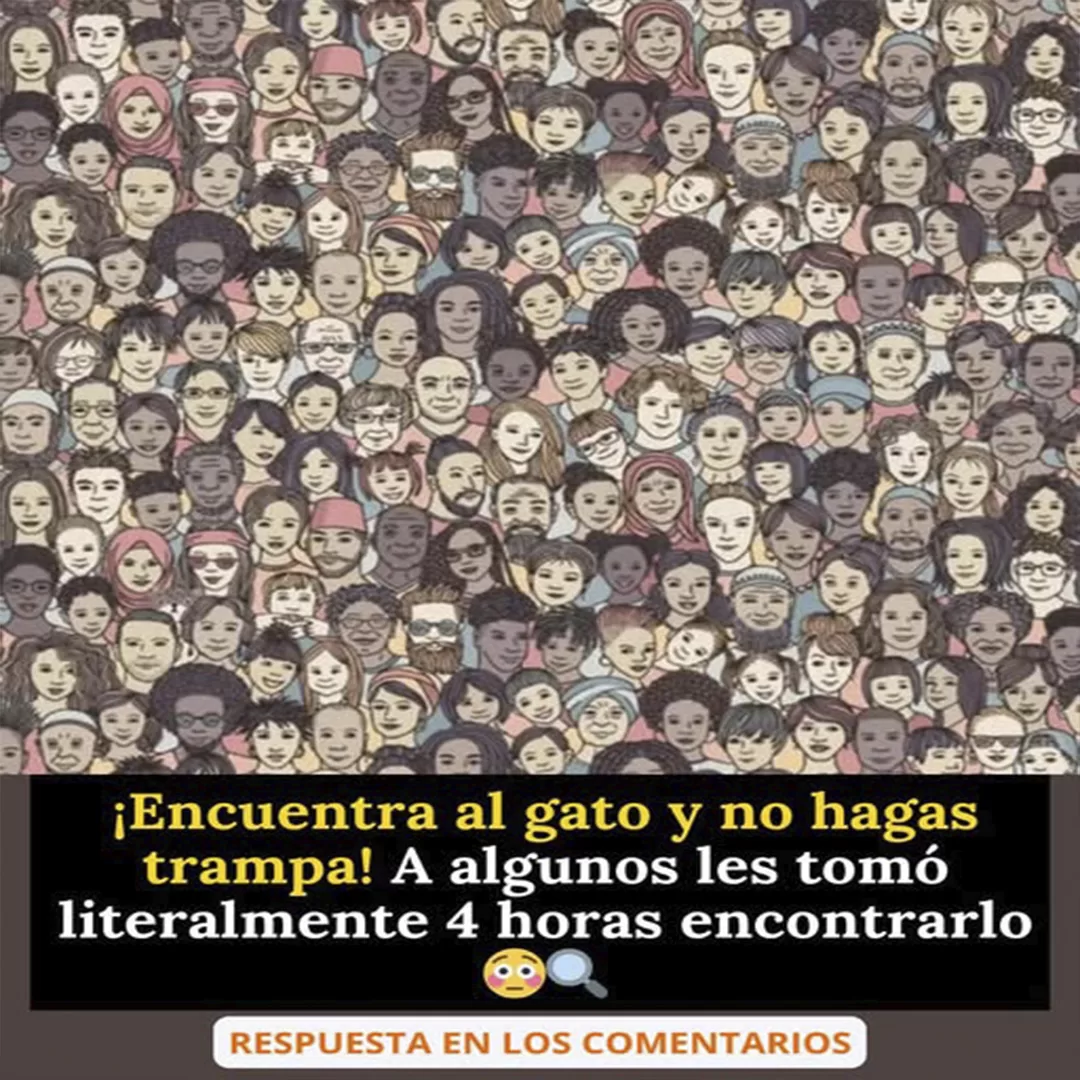 Escoge un gato y descubre un mensaje especial para tu vida