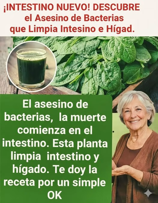 Esta planta verde limpia intestinos e hígado de forma natural