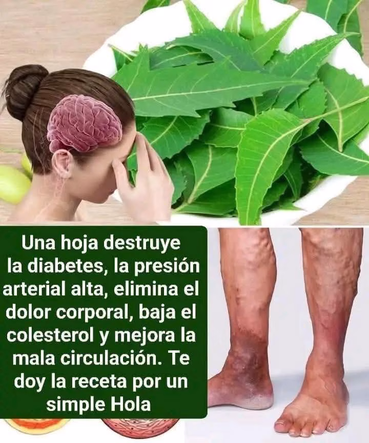 Descubre los Poderosos Beneficios de las Hojas de Neem para Tu Salud