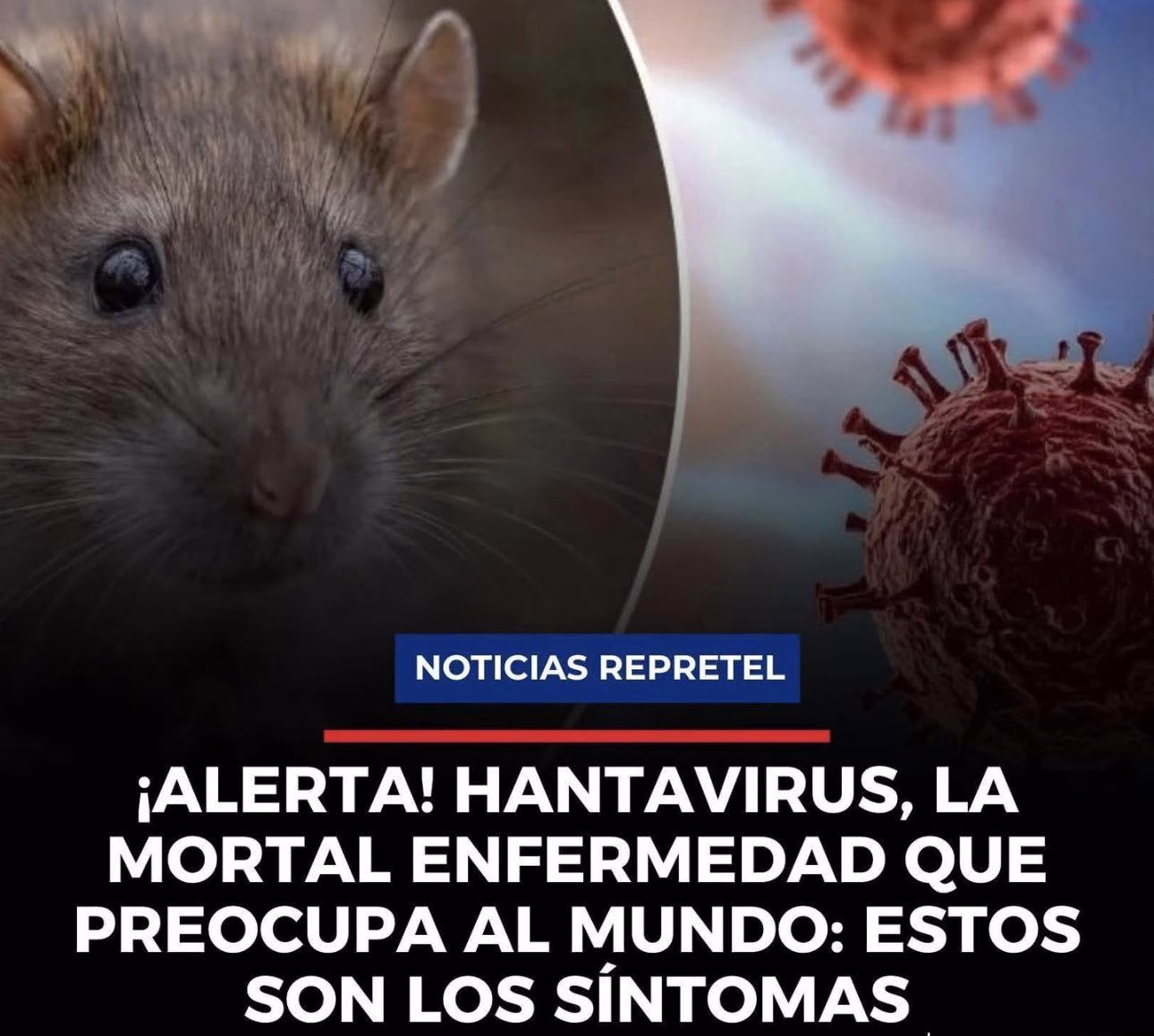 Hantavirus: qué es, síntomas y cómo se transmite