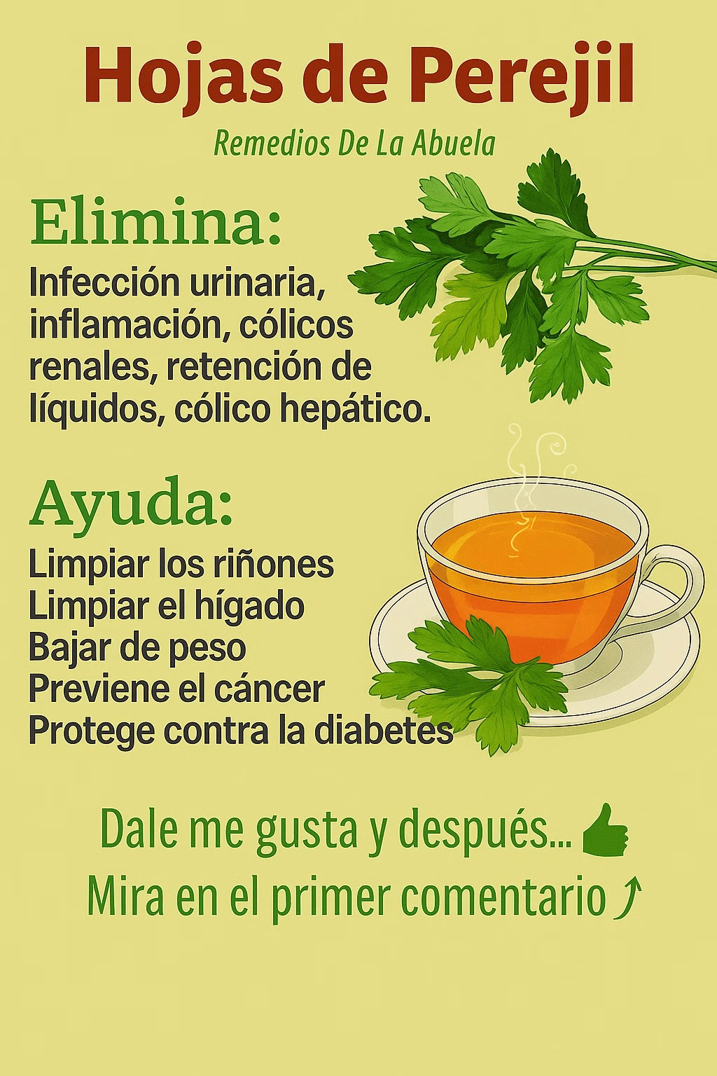 Té de Perejil: El Remedio Natural que Muchos Están Volviendo a Tomar para Desinflamar, Limpiar el Cuerpo y Sentirse Mejor 🌿☕