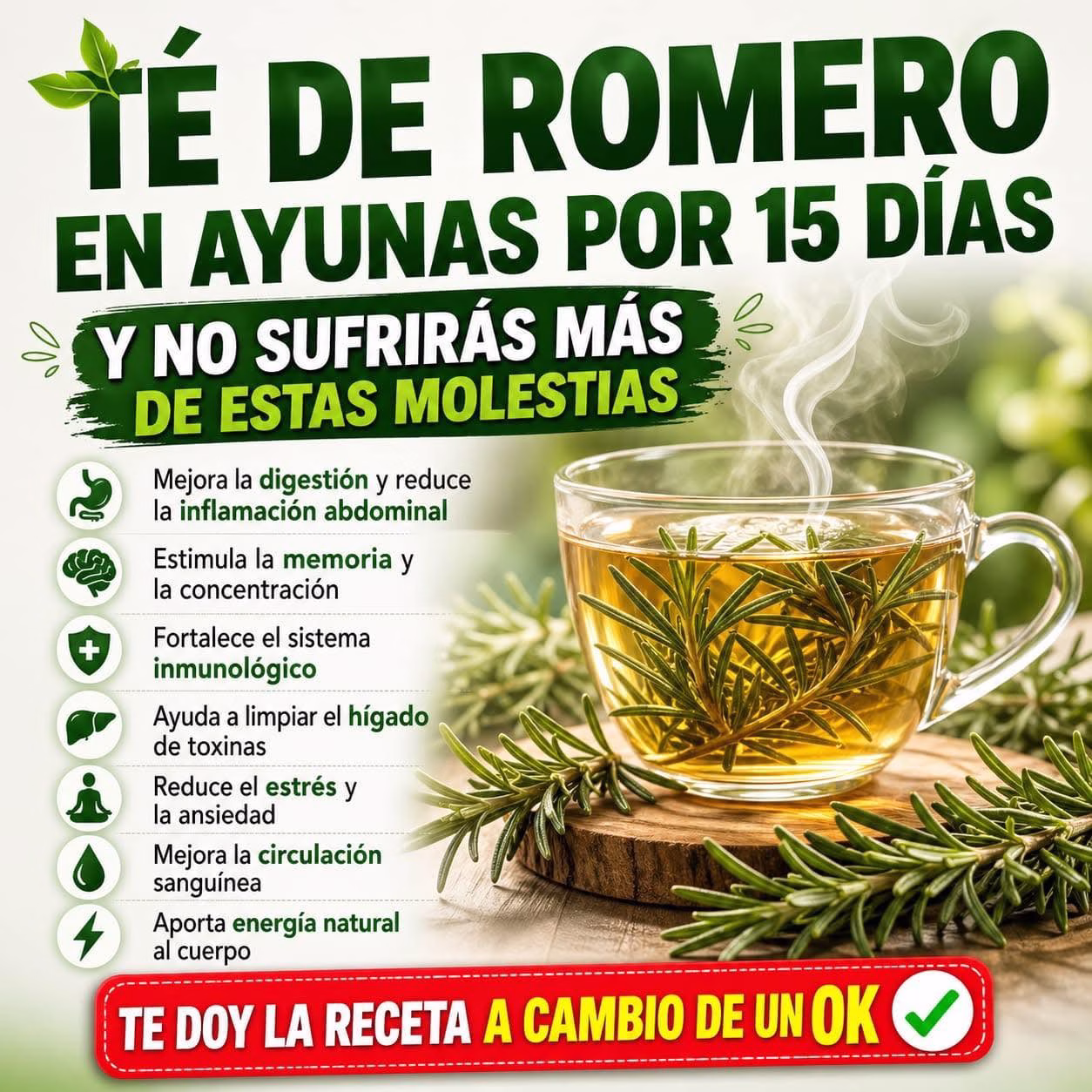 Té de romero en ayunas durante 15 días: esto es lo que podría ocurrir en tu cuerpo 🌿☕