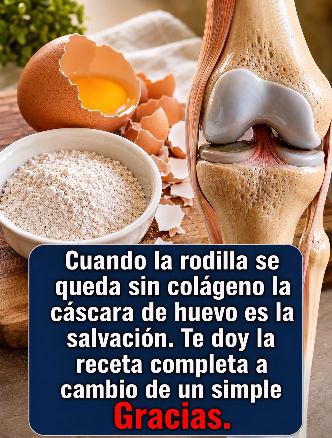 Beneficios de las Cáscaras de Huevo para la Salud Ósea y Articular