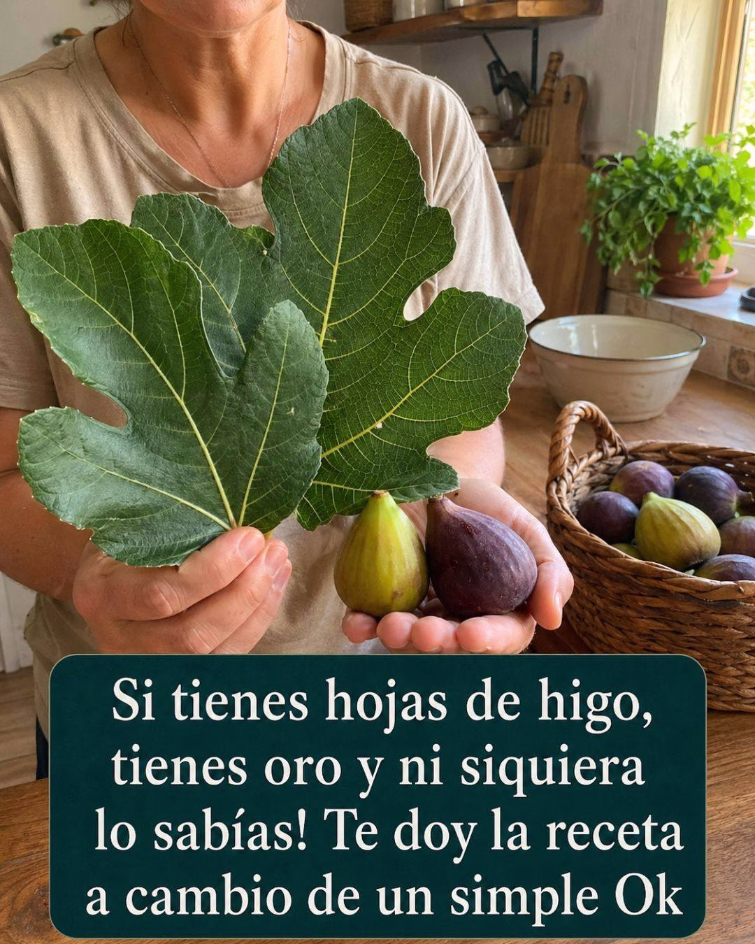 Si Tienes Hojas de Higo, Tienes un Tesoro 🍃✨