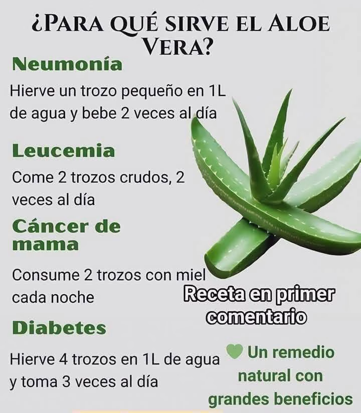Beneficios del Aloe Vera para la Salud Natural y Efectiva