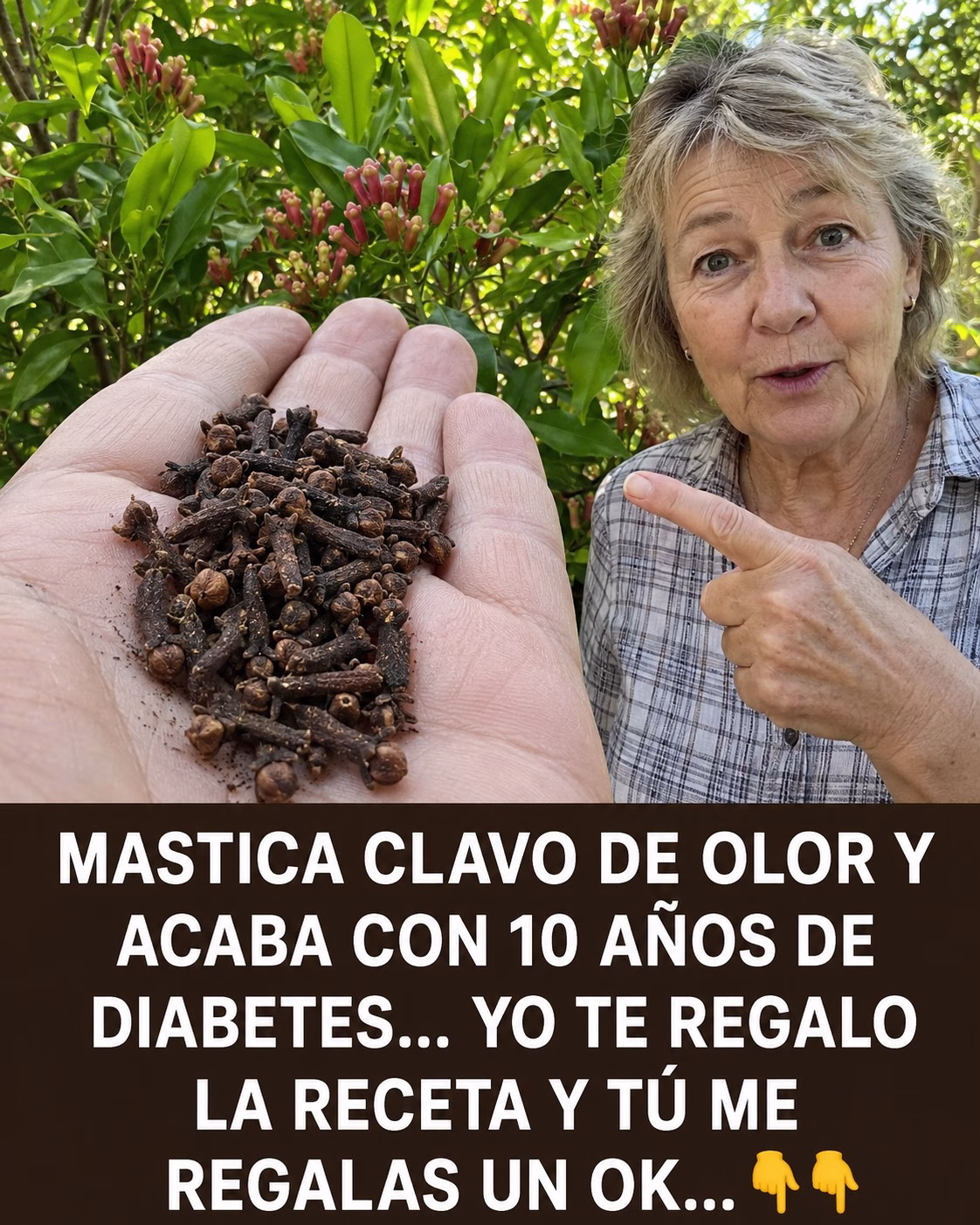 Beneficios de Masticar Clavo de Olor a Diario