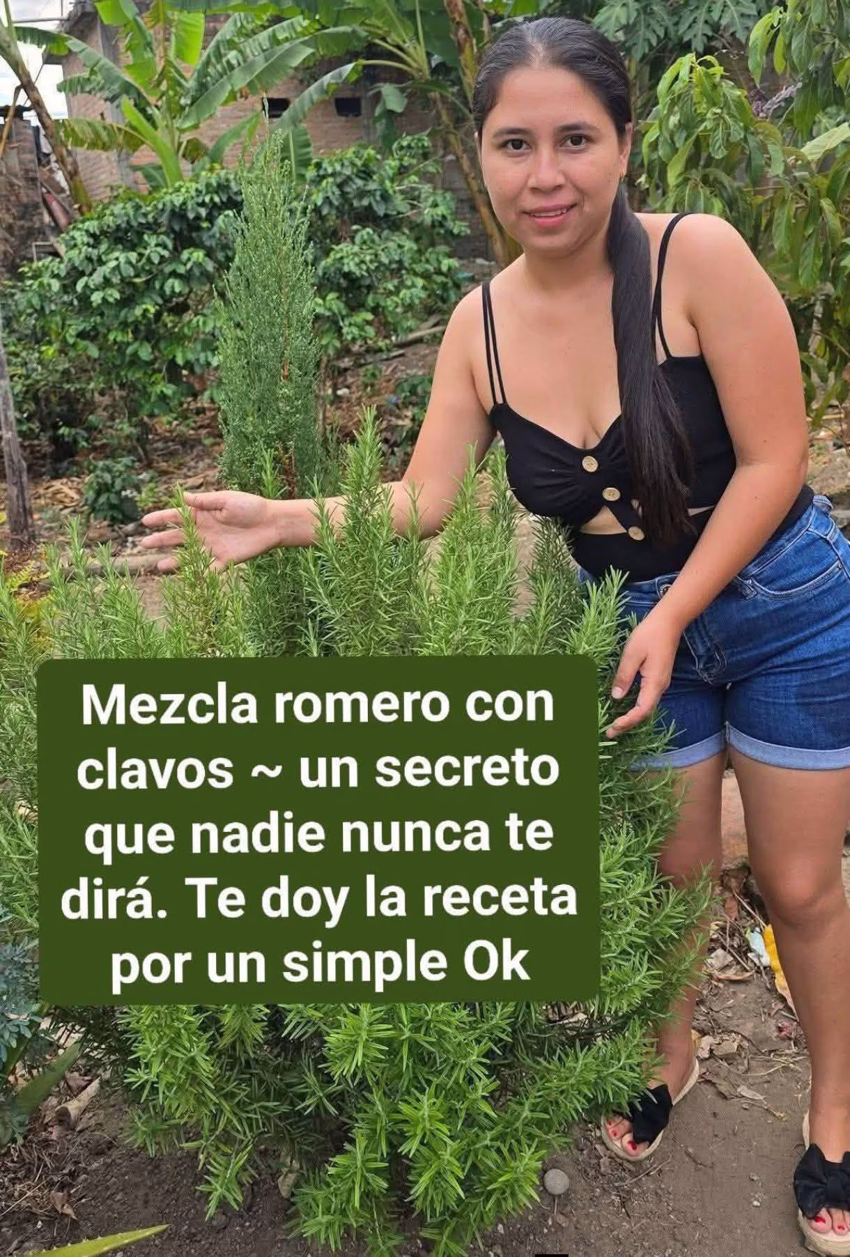 🌿☕ Toma té de romero y descubre todo lo que esta planta puede aportar a tu bienestar diario