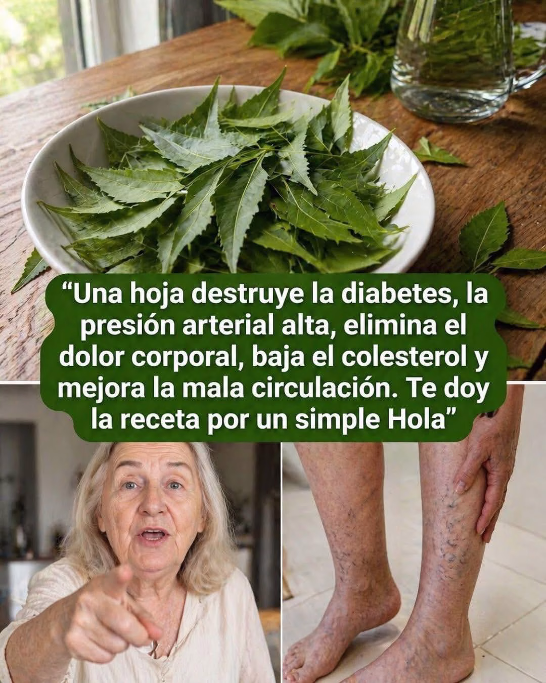 LA PODEROSA HOJA QUE MUCHOS IGNORAN