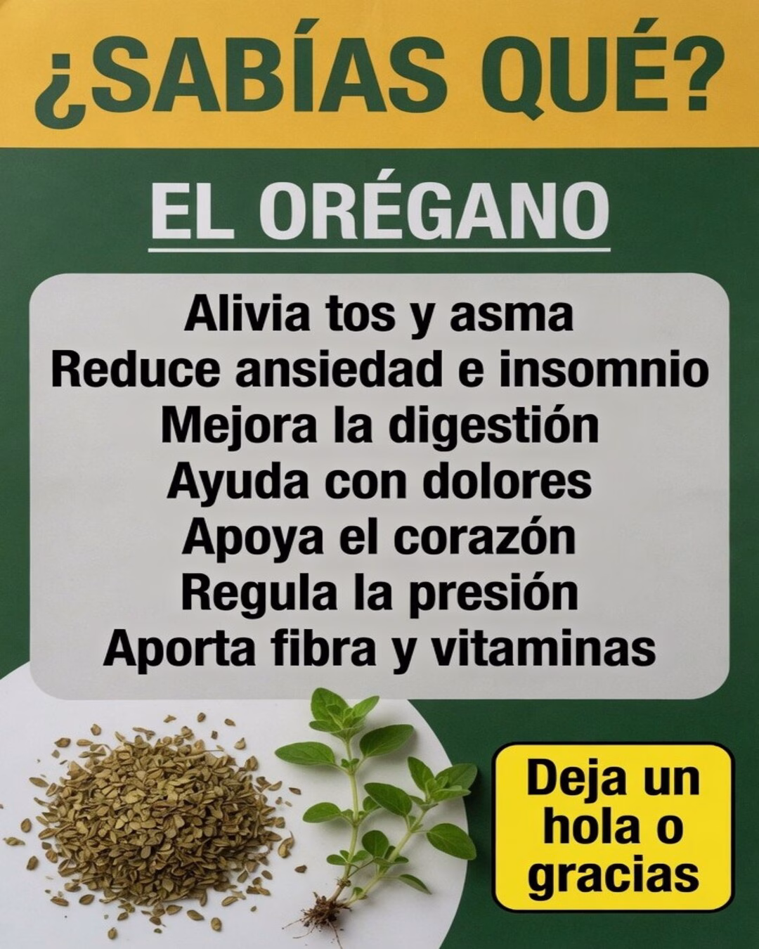 El orégano y todo lo que aporta a tu bienestar diario 🌿✨