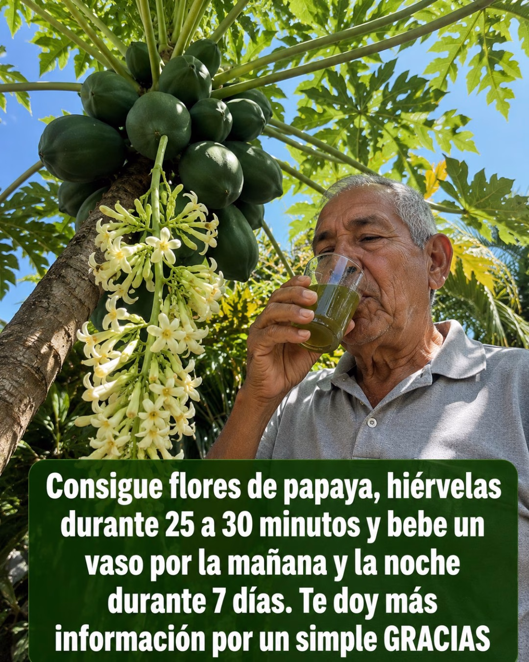 Flor de Papaya: 20 Beneficios Sorprendentes y Cómo Prepararla Correctamente