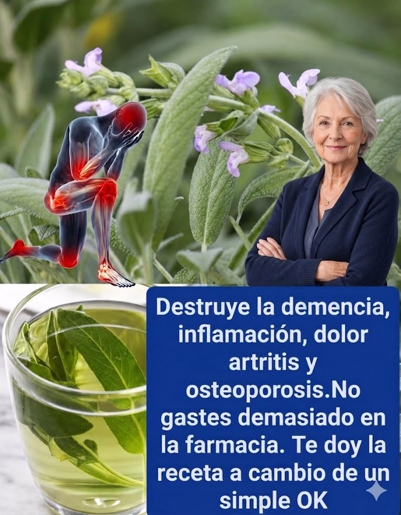Té de salvia para la memoria y las articulaciones: apoyo natural contra la inflamación y el dolor