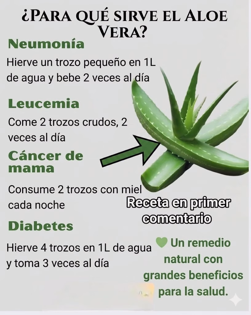 Los Impresionantes Beneficios del Aloe Vera para la Salud