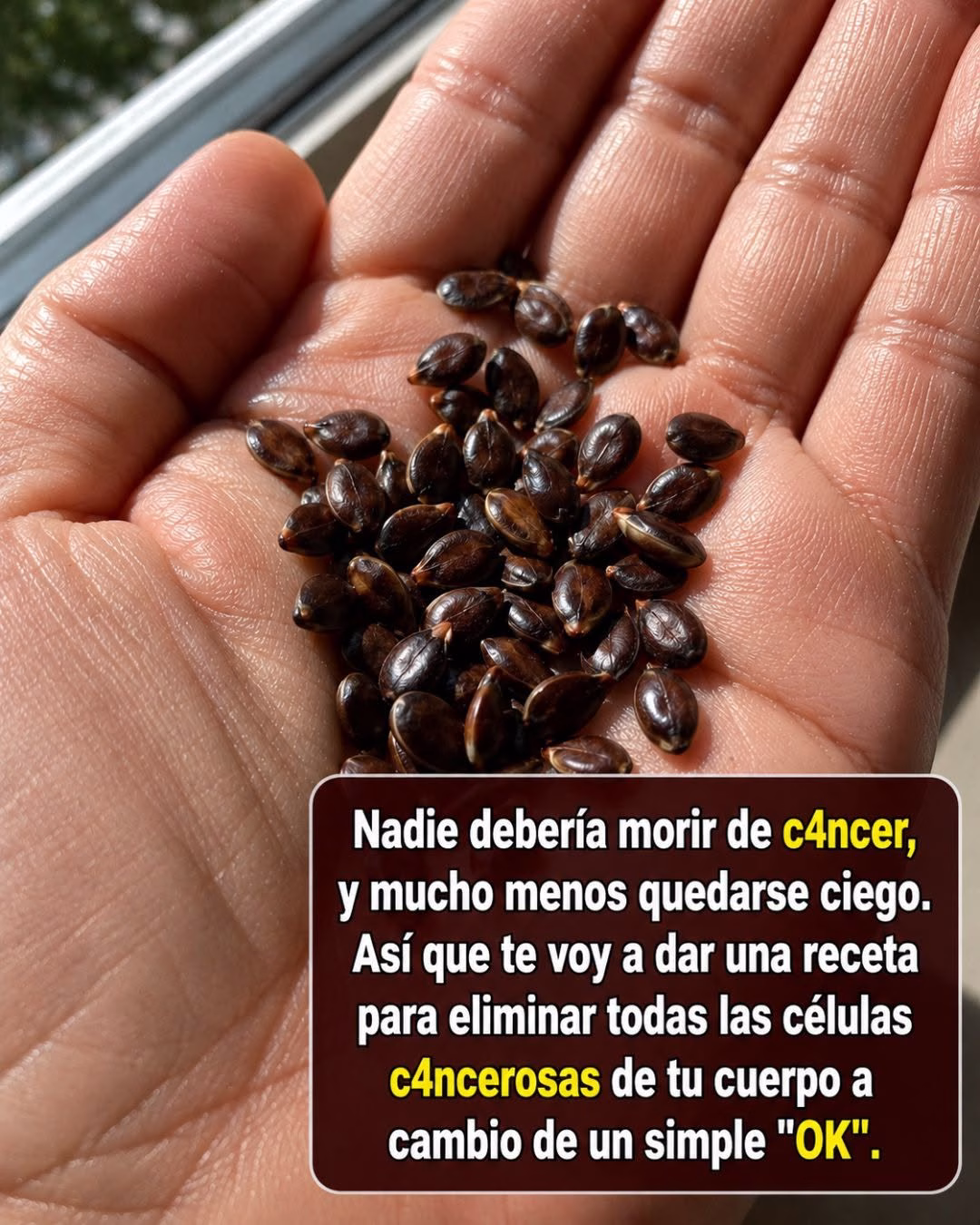 Semillas de Manzana y Salud Lo Que Debes Saber Sobre el Cáncer