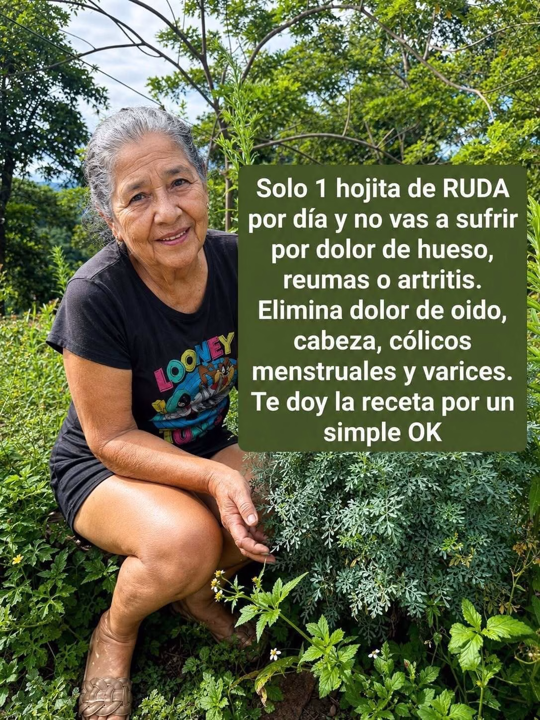 Solo 1 hojita de RUDA por día y no vas a sufrir por dolor de hueso, reumas o artritis.