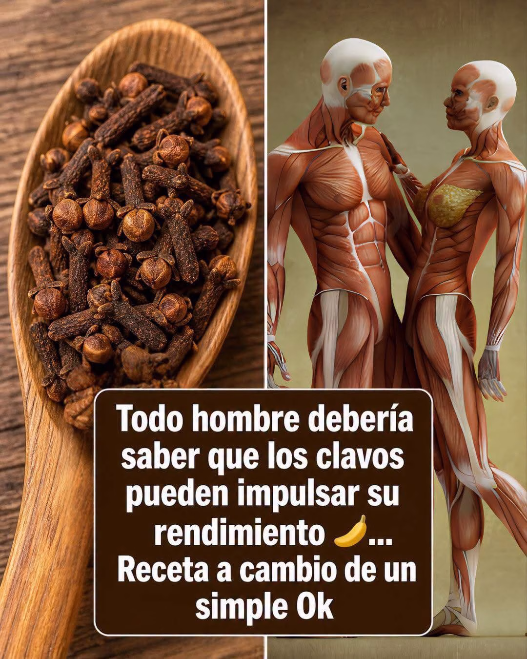 El Poder Oculto de los Clavos de Olor Potencia Tu Energía y Bienestar