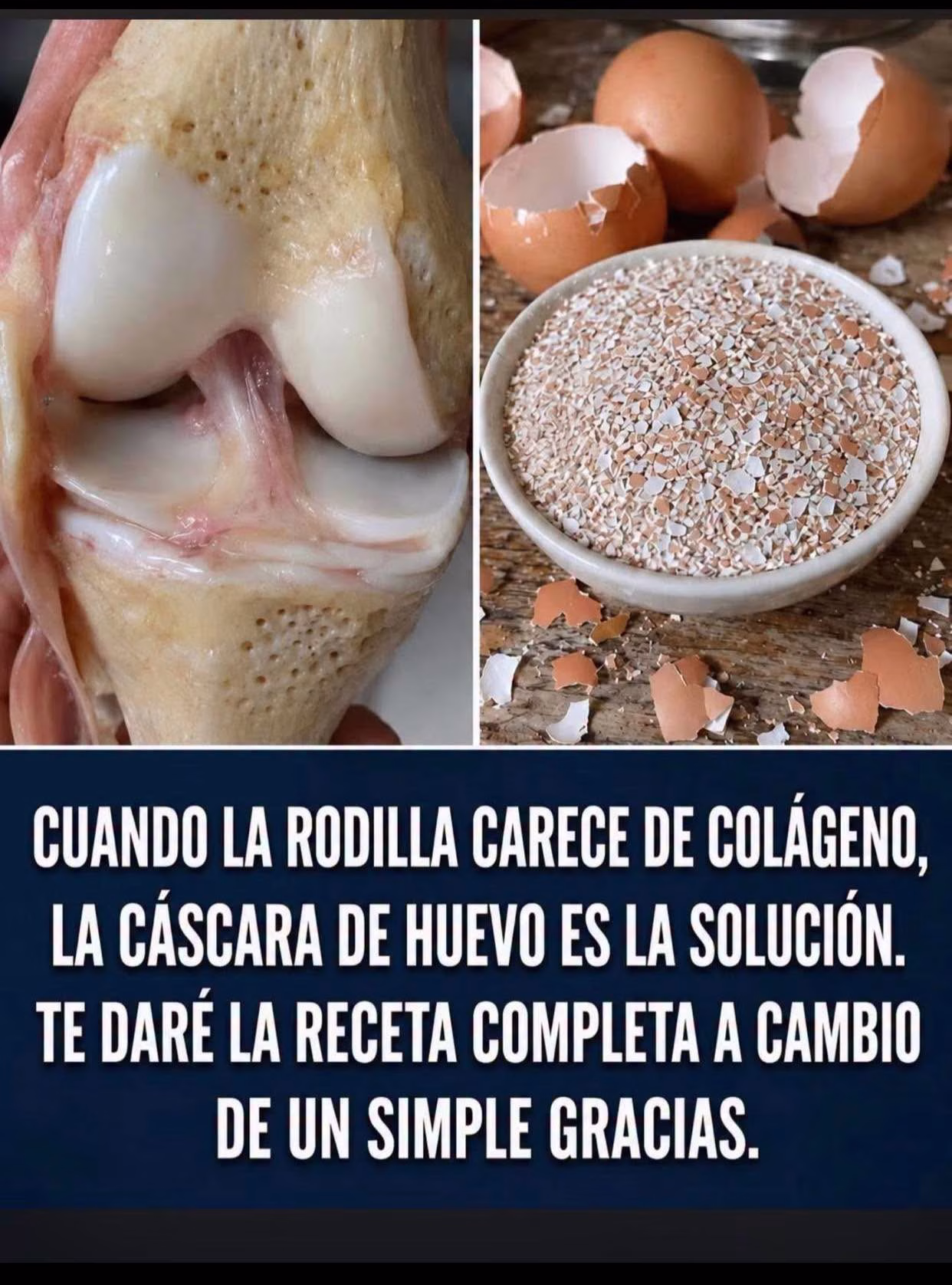 ¡La Fuente de la Juventud Articular! Médico Ortopedista de 97 Años Revela el Secreto del Cartílago
