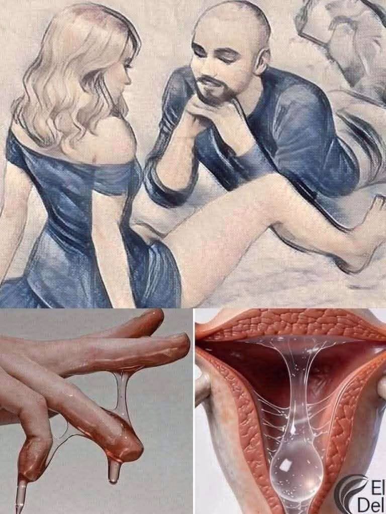Lo increíble que ocurre en el cuerpo de la mujer durante la intimidad