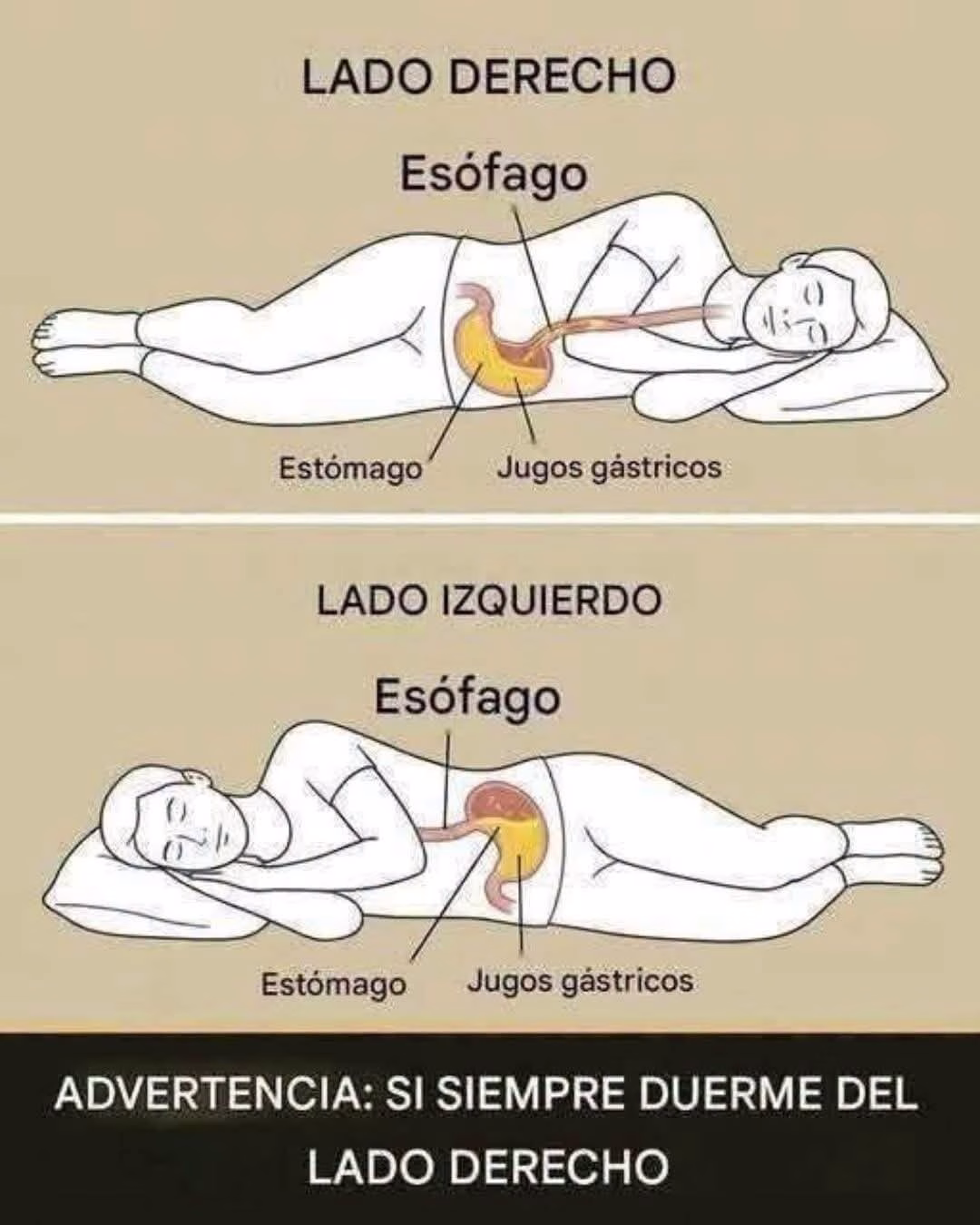 NUNCA duermas del lado derecho