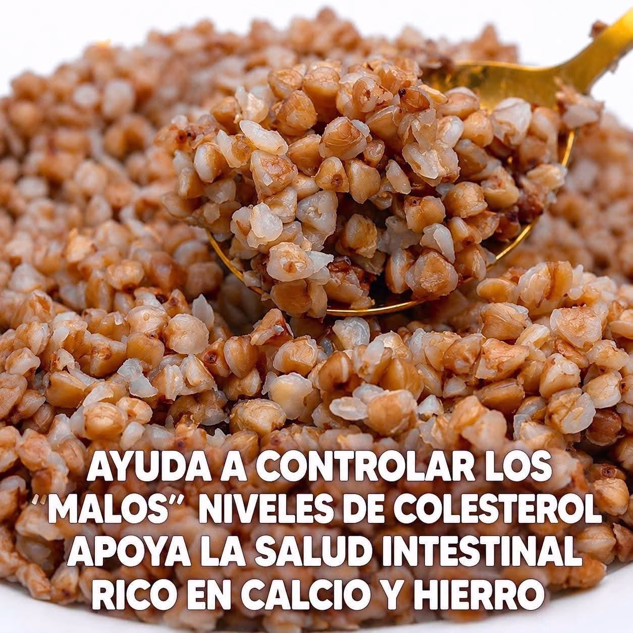 Beneficios del consumo de alpiste.